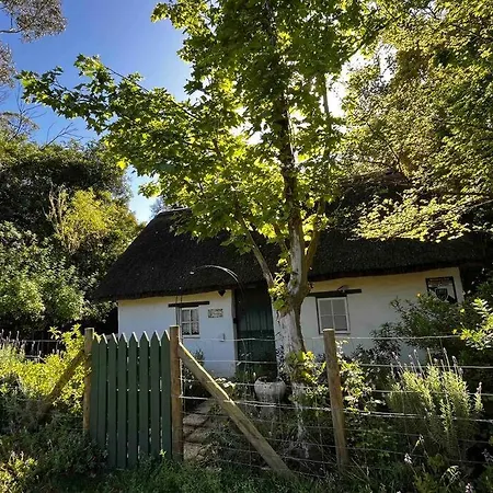 Mouse House Greyton - Tiny Home Living Exterior photo