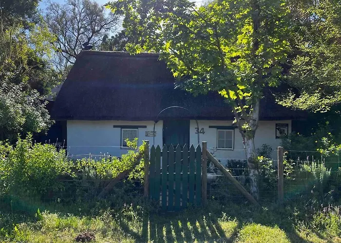 Mouse House Greyton - Tiny Home Living