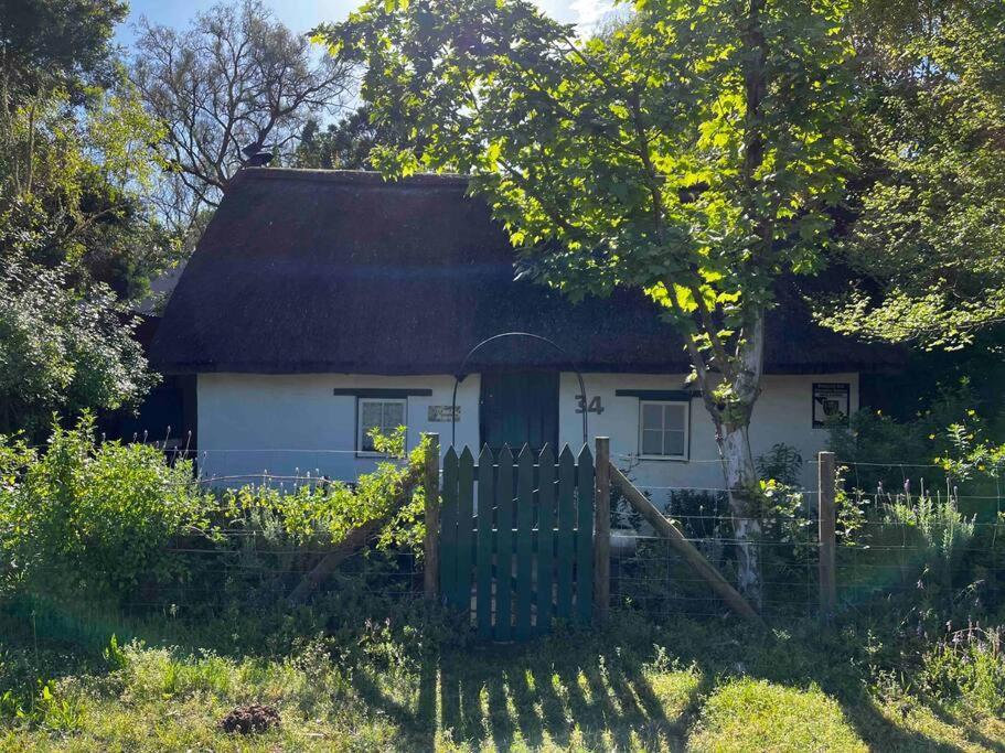 Mouse House - Tiny Living * Greyton