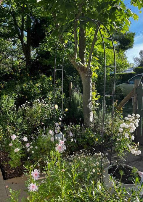 Mouse House - Tiny Living Holiday home