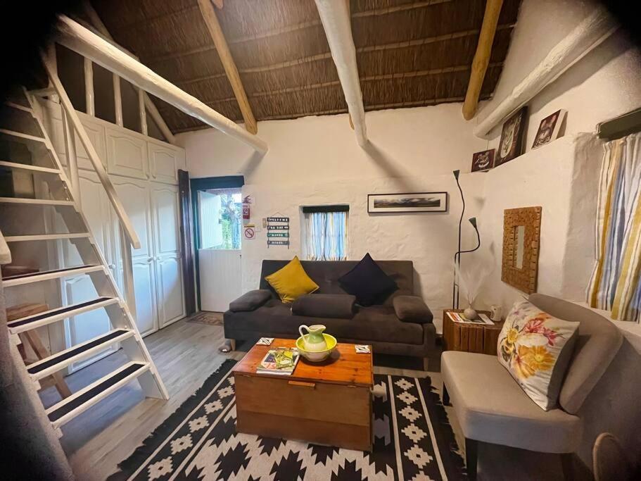 Mouse House - Tiny Living * Greyton