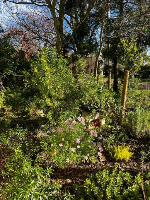 Mouse House - Tiny Living Holiday home Greyton